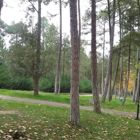 Camping Caravaning Cuenca Cuenca  Luaran gambar