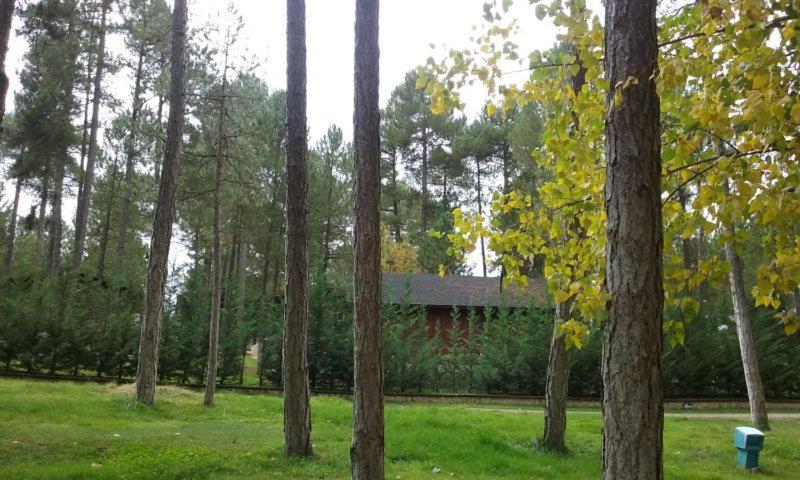 Camping Caravaning Cuenca Cuenca  Luaran gambar