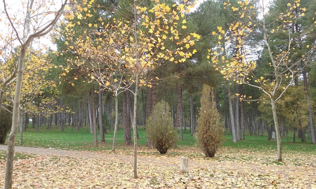 Camping Caravaning Cuenca Cuenca  Luaran gambar